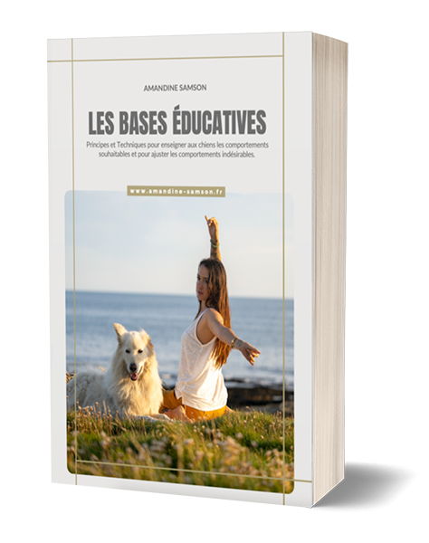 Livre-bases-educatives
