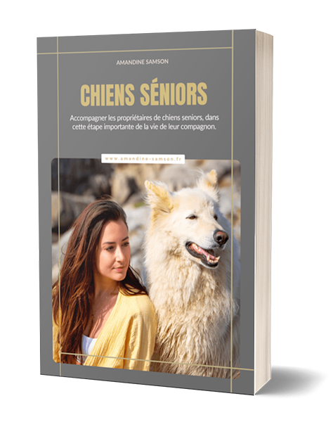Livre-chiens-seniors